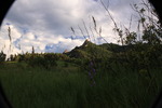 photo thumbnail #13