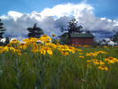 photo thumbnail #3