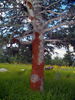 photo thumbnail #5