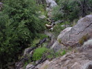photo thumbnail #11