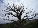 photo thumbnail #13