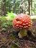 photo thumbnail #11
