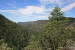 photo thumbnail #5