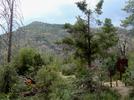 photo thumbnail #9