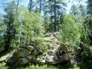 photo thumbnail #5