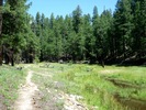photo thumbnail #6