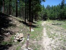 photo thumbnail #7