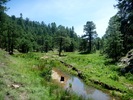 photo thumbnail #8