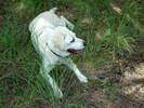 photo thumbnail #10