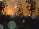 photo thumbnail #12