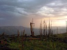 photo thumbnail #13