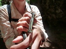 photo thumbnail #3