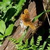 photo thumbnail #9