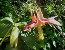 photo thumbnail #12