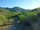 photo thumbnail #1