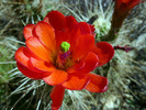 photo thumbnail #10