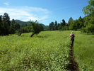 photo thumbnail #7