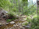 photo thumbnail #2