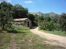 photo thumbnail #8