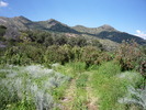 photo thumbnail #10