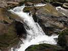 photo thumbnail #12