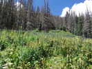 photo thumbnail #7