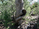 photo thumbnail #4