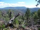 photo thumbnail #6