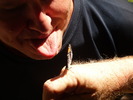 photo thumbnail #10