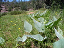 photo thumbnail #15
