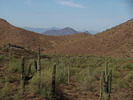photo thumbnail #8