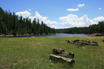 photo thumbnail #12