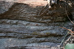photo thumbnail #14