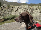 photo thumbnail #13