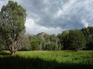 photo thumbnail #12