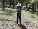 photo thumbnail #8