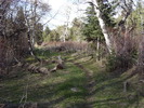 photo thumbnail #2
