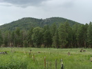 photo thumbnail #13