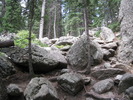 photo thumbnail #3