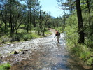 photo thumbnail #13