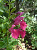 photo thumbnail #15