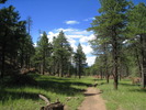 photo thumbnail #9