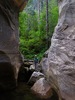 photo thumbnail #13