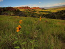 photo thumbnail #3