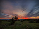 photo thumbnail #4
