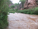 photo thumbnail #15