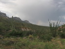 photo thumbnail #1