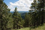 photo thumbnail #8