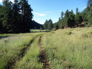 photo thumbnail #9