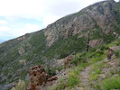 photo thumbnail #10